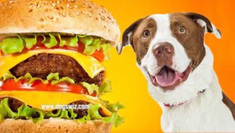Can Dogs Eat Cheeseburgers? Yes, But Watch Out For These 4 Ingredients