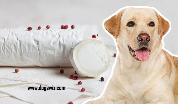 Can Dogs Eat Goat Cheese? No. Here’s Why!