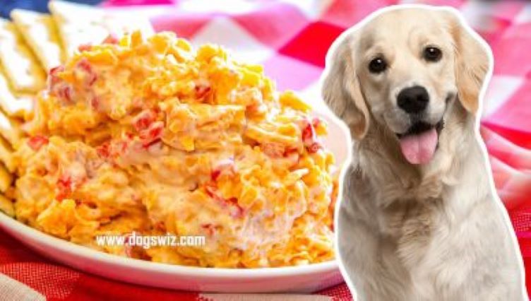 Can Dogs Eat Pimento Cheese? Yes, But Be Careful Of 2 Major Ingredients!