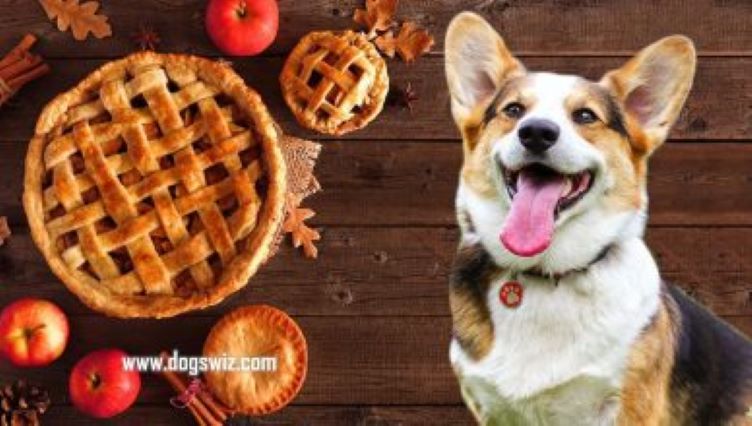 Can Dogs Eat Apple Pie? (Benefits, Risks And Things To Watch Out For)