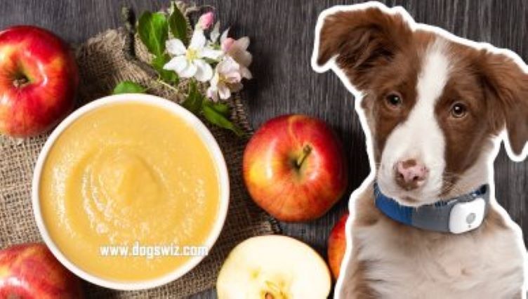 Can Dogs Eat Applesauce? (5 Amazing Benefits)