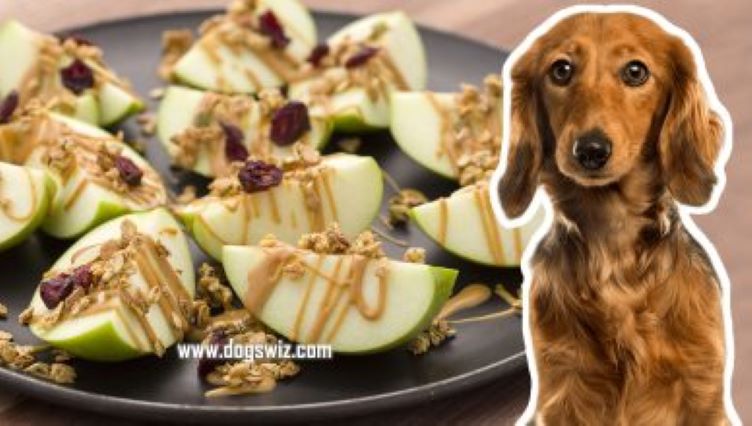 Can Dogs Eat Apples With Peanut Butter? Yes, But Take These Precautions