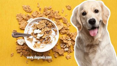 Can Dogs Eat Cereal and Milk? A Detailed Look Into Cereal And Milk for Dogs