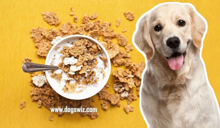 Can Dogs Eat Cereal and Milk? A Detailed Look Into Cereal And Milk for Dogs