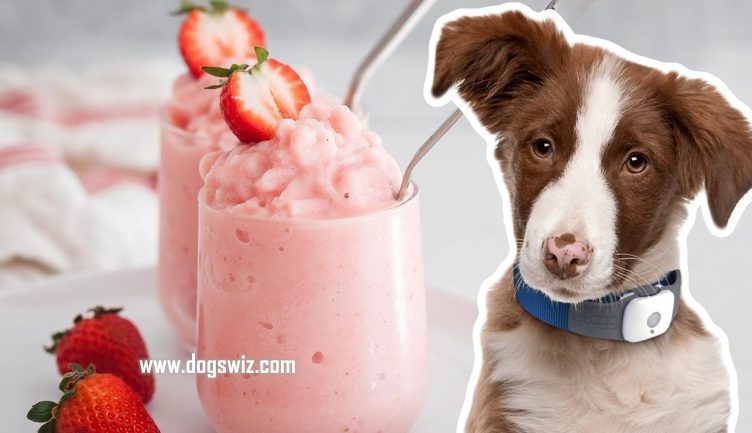 Can Dogs Eat Strawberry Yogurt? 3 Ways You Can Safely Feed Strawberry Yogurt To Your Dog