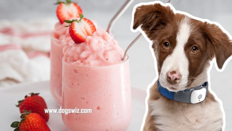 Can Dogs Eat Strawberry Yogurt? 3 Ways You Can Safely Feed Strawberry ...