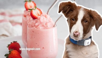 Can Dogs Eat Strawberry Ice Cream? Yes, But Know This First!