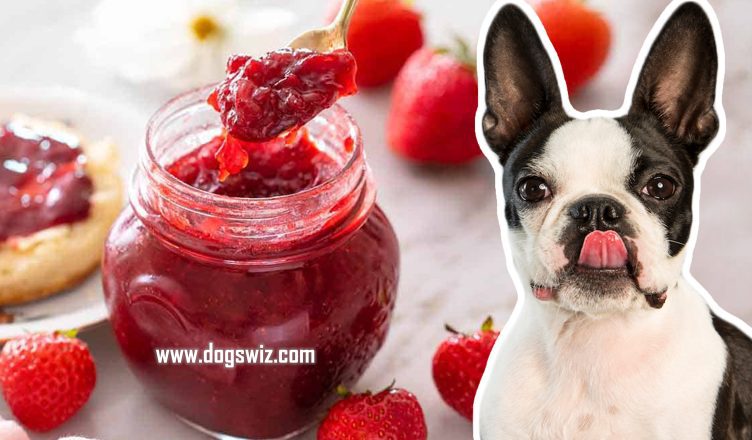 4 Reasons Why You Should Avoid Feeding Strawberry Jam To Dogs