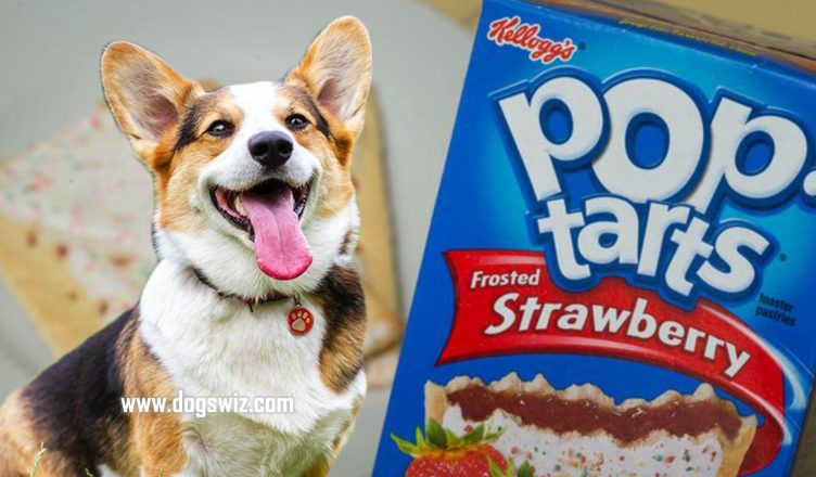 Can Dogs Eat Strawberry Pop Tarts? Yes, But Watch Out for These Dangers…