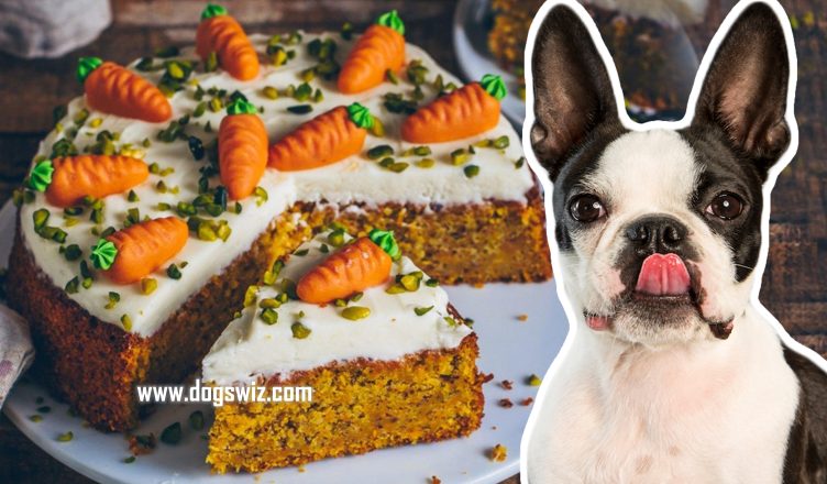 Can Dogs Eat Carrot Cakes? How to Give the Right Amount & Save on Vet Bills