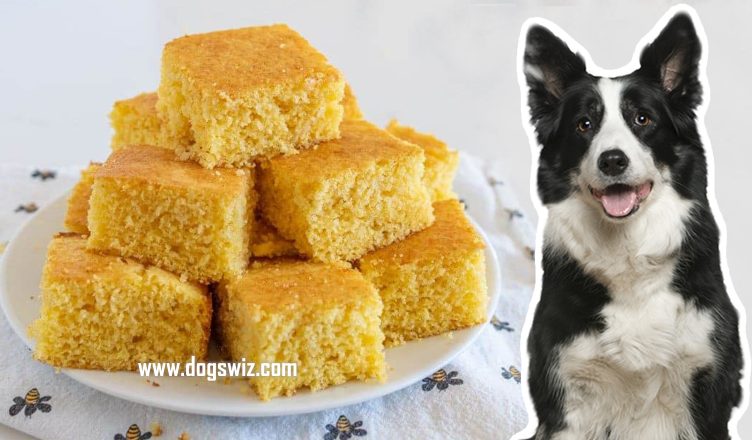 Can Dogs Eat Cornbread? Sometimes! And Here Are 4 Reasons Why…