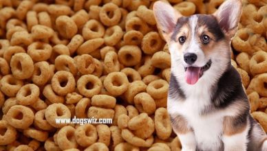 Can Dogs Eat Cheerios? Yes! But Watch Out for These Ingredients…