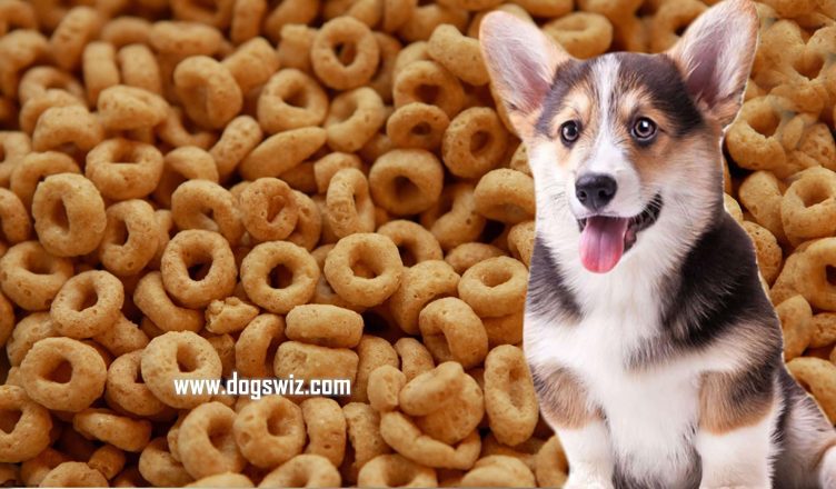 Can Dogs Eat Cheerios? Yes! But Watch Out for These Ingredients…