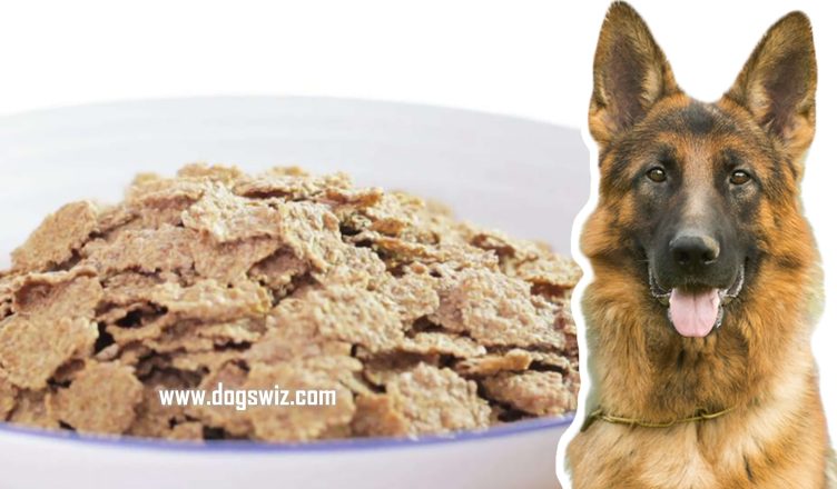 5 Reasons Why You Should Feed Bran Flakes to Dogs