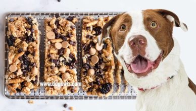 Can Dogs Eat Granola Bars? 4 Ingredients That Make Granola Bars Toxic for Dogs