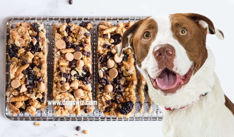 Can Dogs Eat Granola Bars? 4 Ingredients That Make Granola Bars Toxic for Dogs