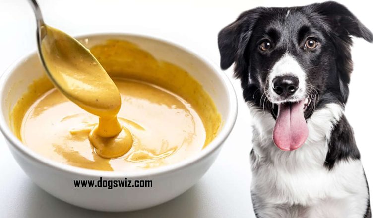 4 Amazing Benefits of Honey Mustard to Dogs