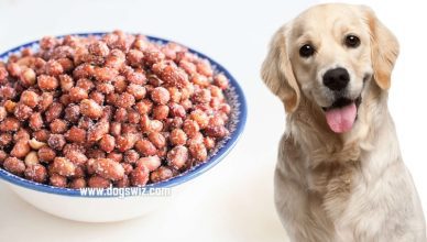 Can Dogs Eat Honey Roasted Peanuts? Yes! But Know These Guidelines First…