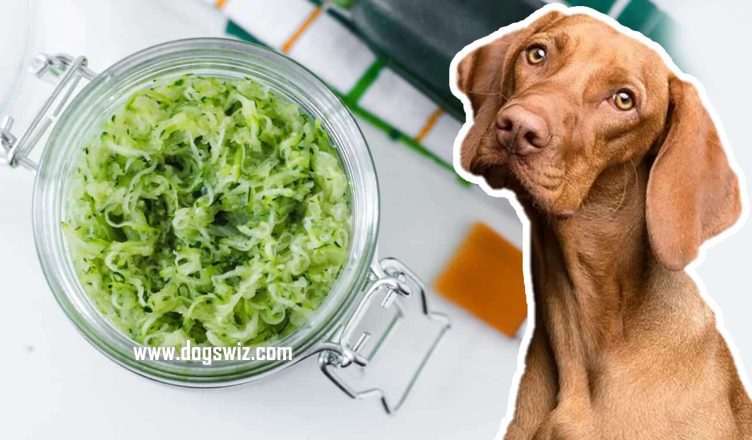 Can Dogs Eat Zucchini Skin? The Complete Guide on Zucchini Skin for Dogs!