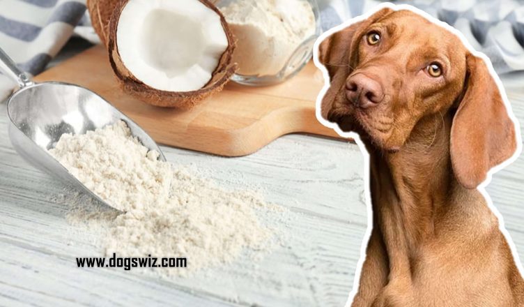 Can Dogs Eat Coconut Flour? The Pros and Cons of Feeding Your Dog Coconut Flour