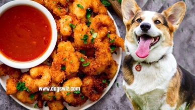 Can Dogs Eat Coconut Shrimp? Or Is It All Just a Myth? Let’s find out!