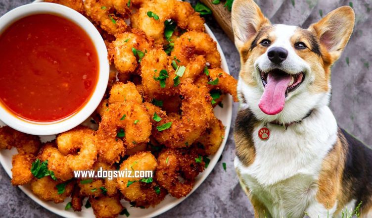 Can Dogs Eat Coconut Shrimp? Or Is It All Just a Myth? Let’s find out!