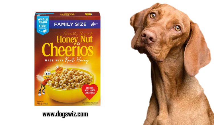 Can Dogs Eat Honey Nut Cheerios? Here’s How You Can Safely Feed Them to Dogs