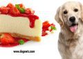 Can Dogs Eat Strawberry Cake? What You Need To Know!