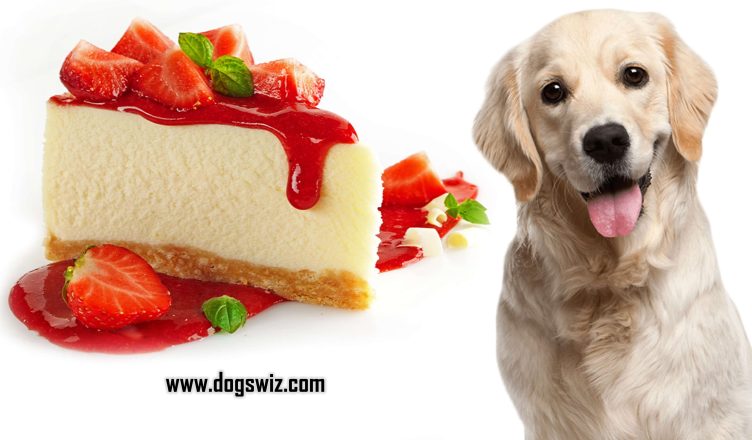 Can Dogs Eat Strawberry Cake? What You Need To Know!