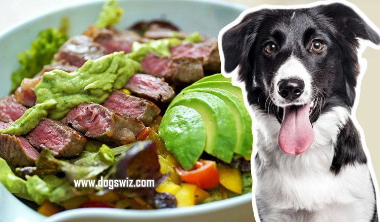Can Dogs Eat Avocado Meat? Yes, But Beware Of This Toxicity!