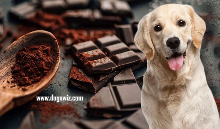 Can Dogs Eat Dark Chocolate? 7 Reasons Why Dark Chocolate Is Bad for Dogs