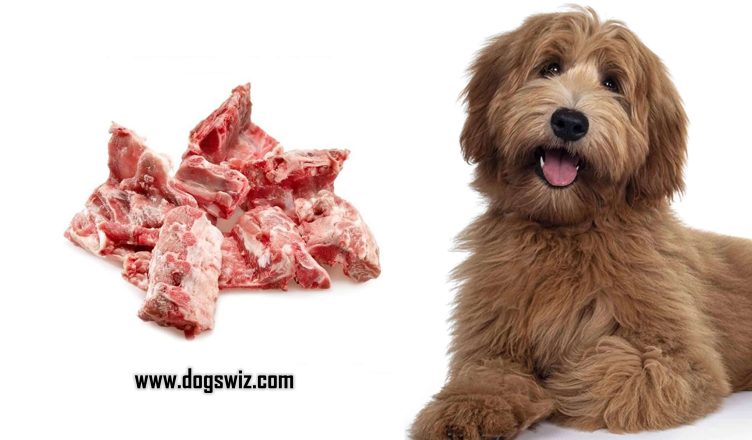 Can Dogs Eat Pork Bones? Here’s Why You Should Never Feed Your Dog Pork Bones