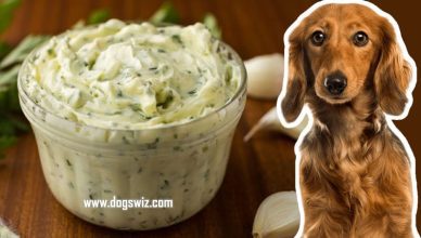 Can Dogs Eat Garlic Butter? Yes. But Know These Side Effects.
