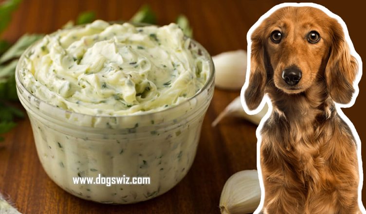 Can Dogs Eat Garlic Butter? Yes. But Know These Side Effects.
