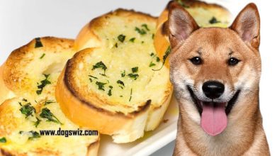 Can Dogs Eat Garlic Bread? What Are the Health Risks?