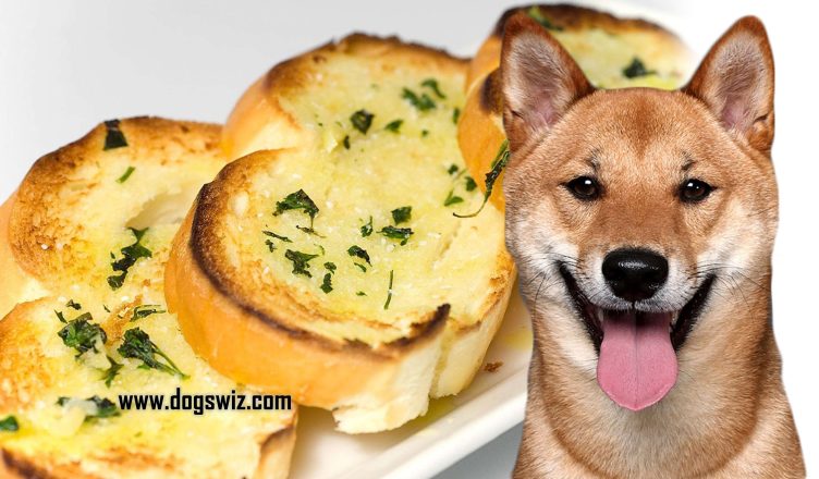 Can Dogs Eat Garlic Bread? What Are the Health Risks?