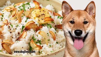 Can Dogs Eat Garlic Rice? Here’s How To Prepare Garlic Rice Safely For Your Dog