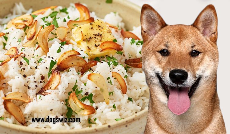Can Dogs Eat Garlic Rice? Here’s How To Prepare Garlic Rice Safely For Your Dog