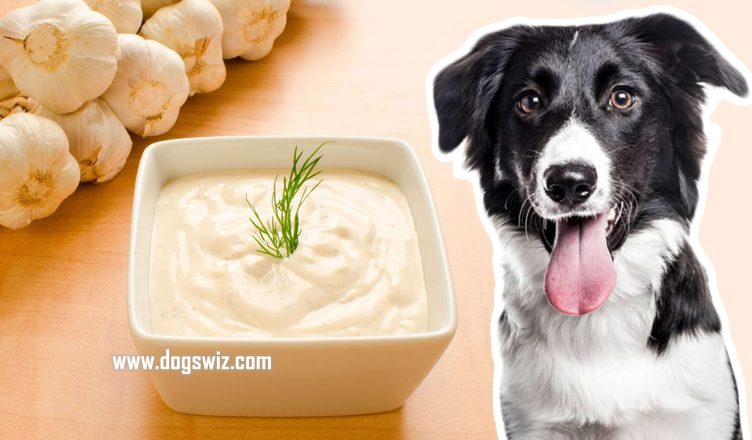 Can Dogs Eat Garlic Sauce? What You Should Know Before Giving Your Dog Garlic Sauce