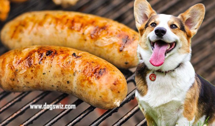 Can Dogs Eat Garlic Sausage? You Must Know About These Health Concerns