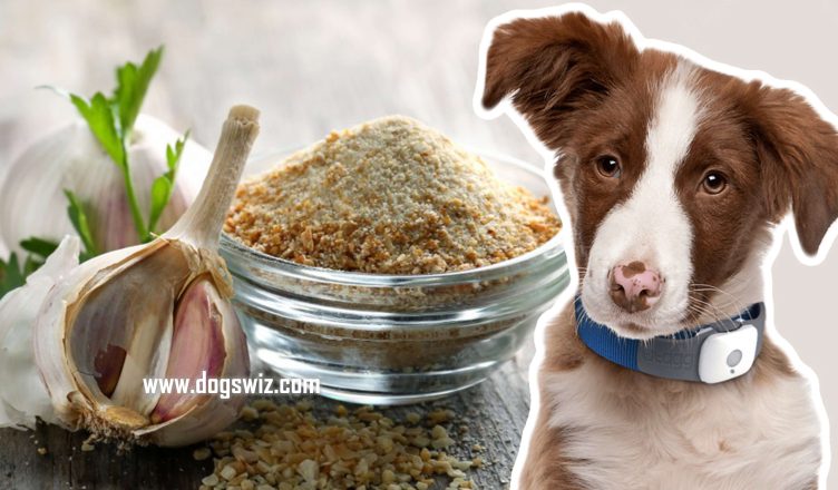 Can Dogs Eat Garlic Seasoning? Potential Dangers When Feeding Your Dog Garlic Seasoning