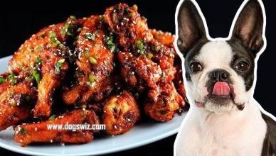 Can Dogs Eat Garlic Chicken? Yes. But Take These Precautions First