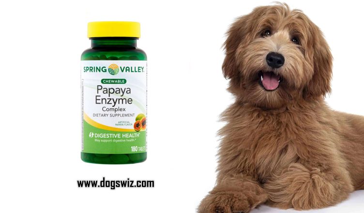 Can Dogs Eat Papaya Enzyme Tablets? Here’s Everything You Need To Know About This Amazing Dietary Supplement