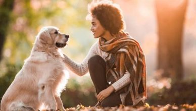 Do Dogs Understand Humans? Here Are 9 Widely Accepted Theories On Dog-Human Communication