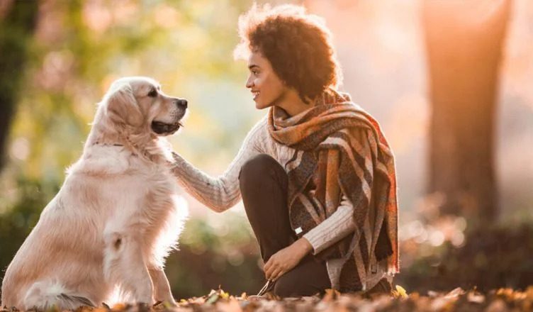 Do Dogs Understand Humans? Here Are 9 Widely Accepted Theories On Dog-Human Communication