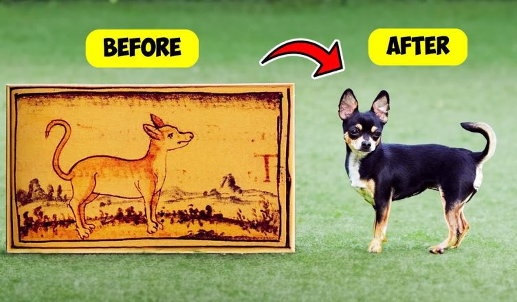 10 Dog Breeds with Most Unexpected Histories