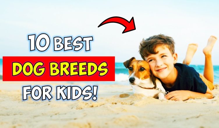 10 BEST DOG BREEDS FOR KIDS