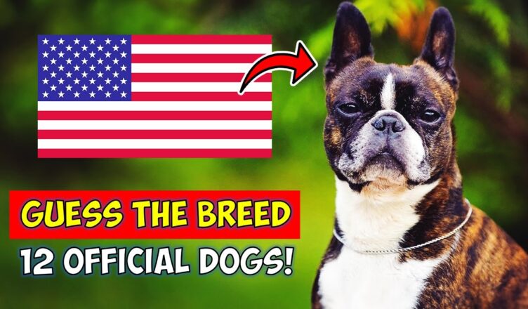 12 Official State Dog Breeds Of America